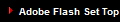 Adobe Flash Set Top Box